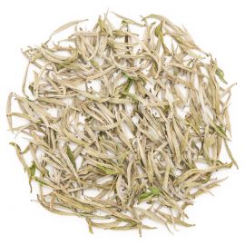 silver needle tea