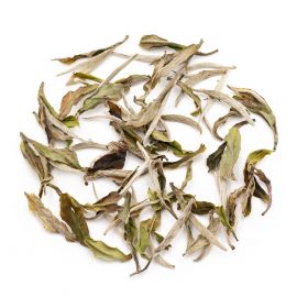 white peony king tea